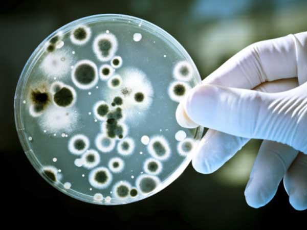 Микробиологические испытания на соответствие нормативным требованиям