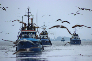 Совещание по вопросам организации добычи ВБР в Балтийском море